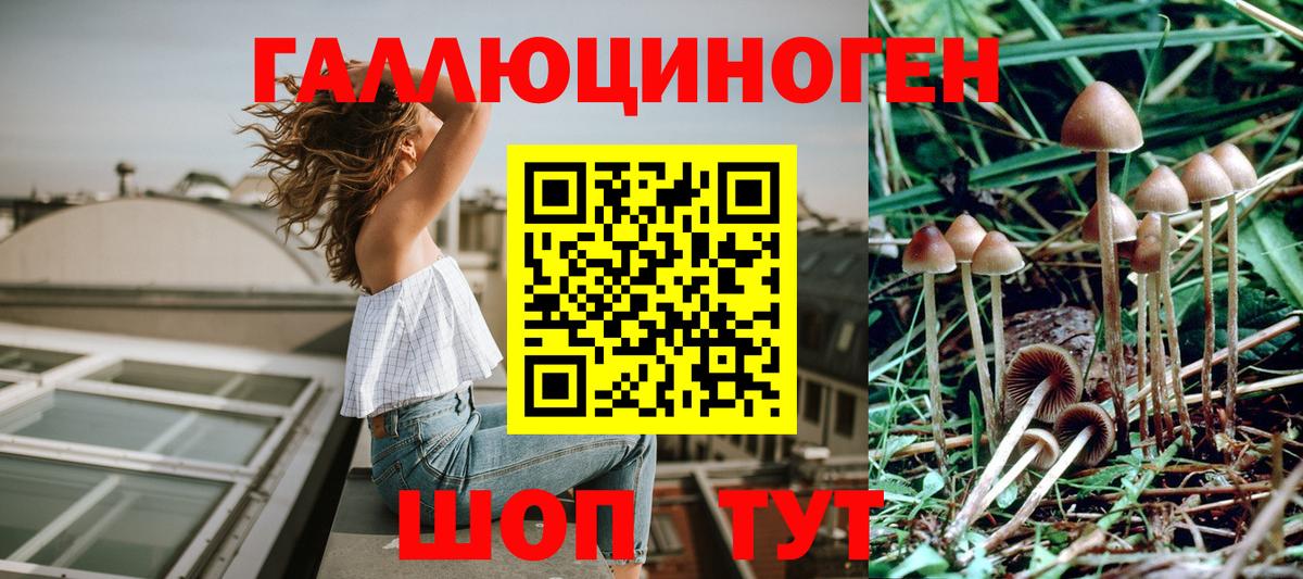 Галлюциногенные грибы прущие грибы  Вход с VPN  Великий Новгород 