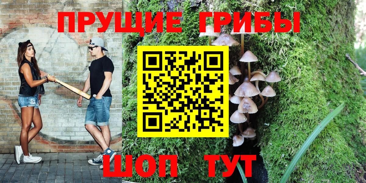 Псилоцибиновые грибы MAGIC MUSHROOMS Великий Новгород